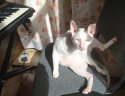 IMG_20201031_193611.jpg