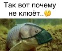 IMG_20201105_010449_760.jpg