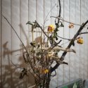 20201103_234834.jpg