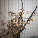 20201103_234844.jpg