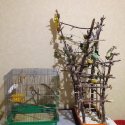 20201104_001359.jpg