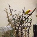 20201104_001629.jpg