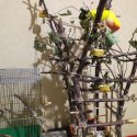 20201104_001723.jpg