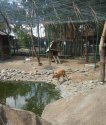 IMG_20200817_144115.jpg