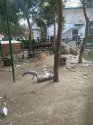 IMG_20200817_145405.jpg