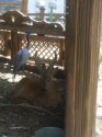 IMG_20200817_144352.jpg