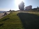 IMG_20201008_161208.jpg