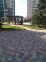 IMG_20201017_130431.jpg