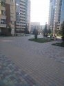 IMG_20201017_130310.jpg