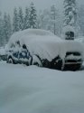 Домбай 10 дек 2008.JPG