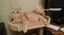 IMG_20201226_173918.jpg