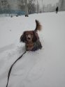 IMG-20210113-WA0004.jpg
