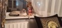IMG20210222210238.jpg