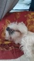 IMG_20210228_081051.jpg