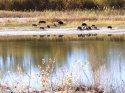 IMG_20201017_133636.jpg