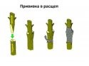 scale_1200.jpg