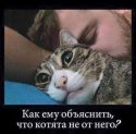 FB_IMG_1540066153513.jpg