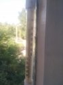 IMG_20210720_074809.jpg