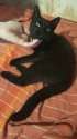 IMG-20210821-WA0001.jpg