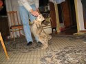 IMG_2209.JPG