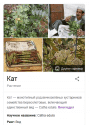 как.png