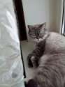 IMG-20220202-WA0003.jpg