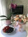 1FF1ED6B-B259-485D-BD72-A2CEEC76BAA6.jpeg