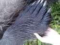 IMG-20221025-WA0007.jpg