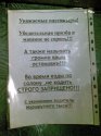 04022009(001).jpg