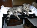 DSCN4848.jpg