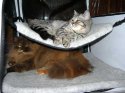 DSCN4853.jpg