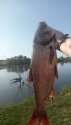 IMG-20230728-WA0012.jpg