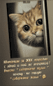 Скриншот 15-10-2023 212730.png