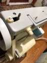 IMG-20231117-WA0006.jpg