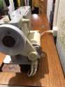 IMG-20231117-WA0016.jpg