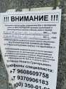 IMG-20240111-WA0000.jpg