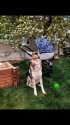 IMG-20200501-WA0000.jpg