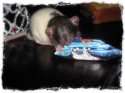 IMG_0662.jpeg