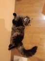 IMG-20240405-WA0021.jpg