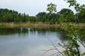 DSC00642.jpg