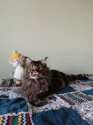 IMG-20240925-WA0013.jpg