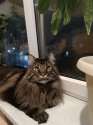 IMG-20241123-WA0004.jpg