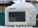 Скриншот 06-12-2024 091441.png