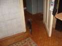 DSC02484#.JPG