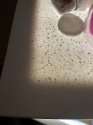IMG_2651.jpeg