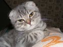 DSCF6772.JPG
