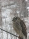IMG_1049.JPG