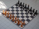 _DSC_0174.jpg
