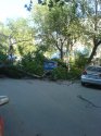 DSC00004.JPG