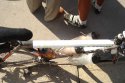 DSC04795.JPGу.jpg